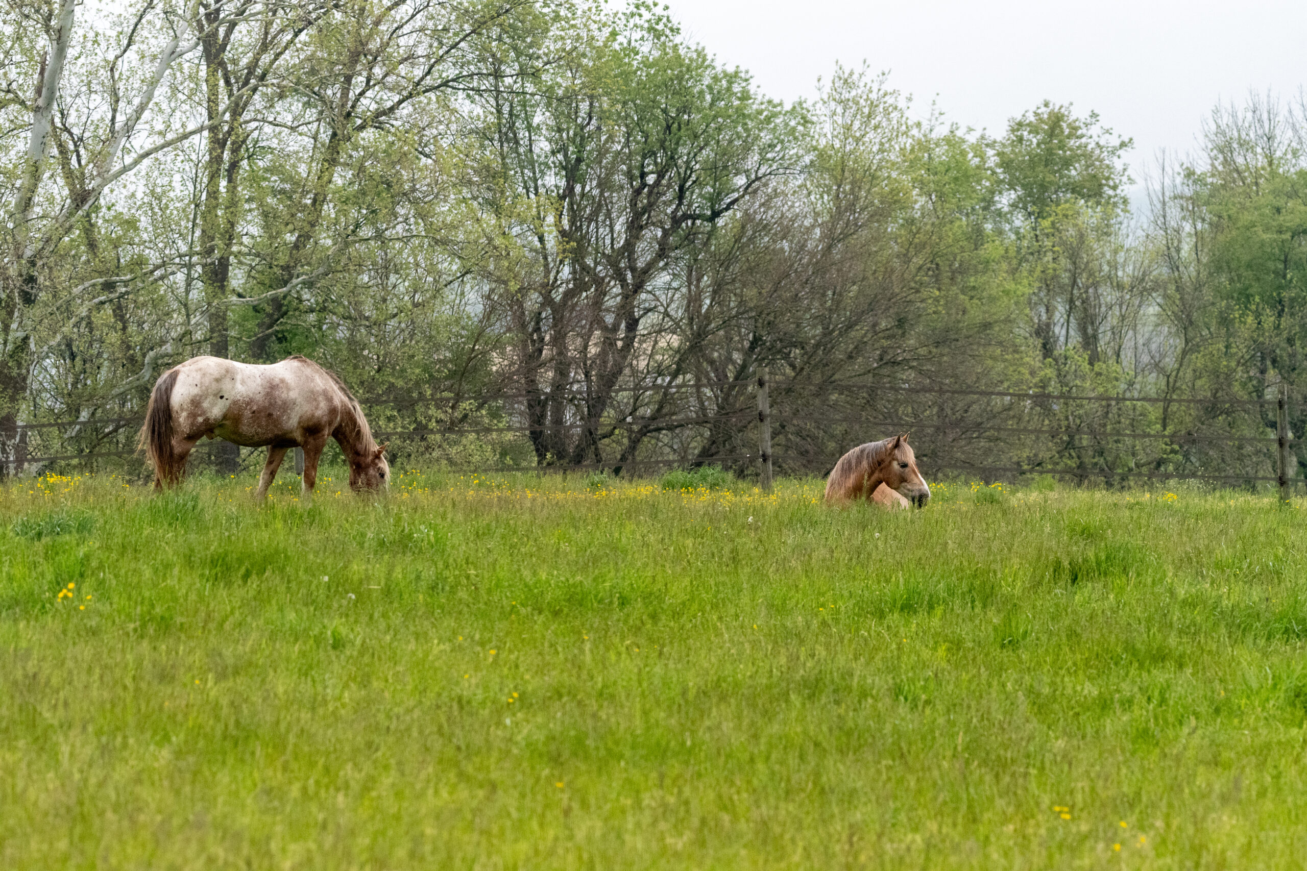 20220513-_DSC4294