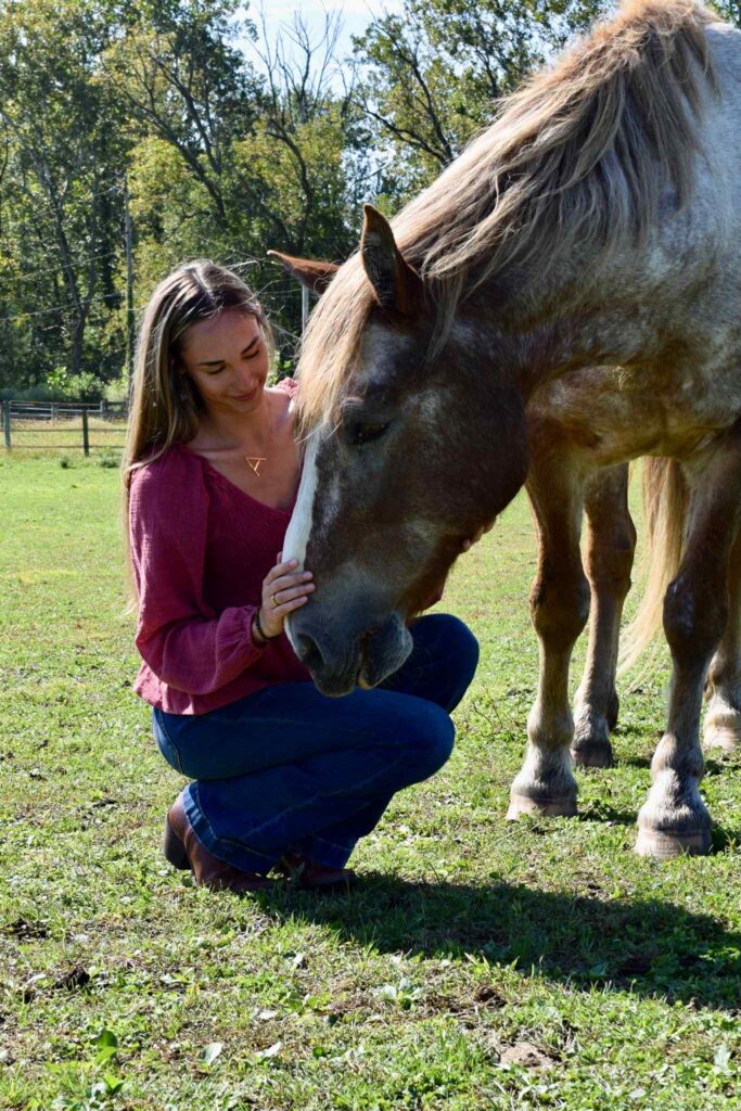 counselor equine therapist therapist counseling equine therapy equine assisted therapy horse therapy